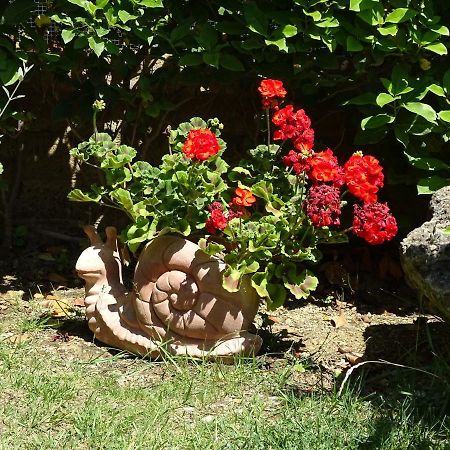 B&B La Dolce Vita Marsiliana Luaran gambar