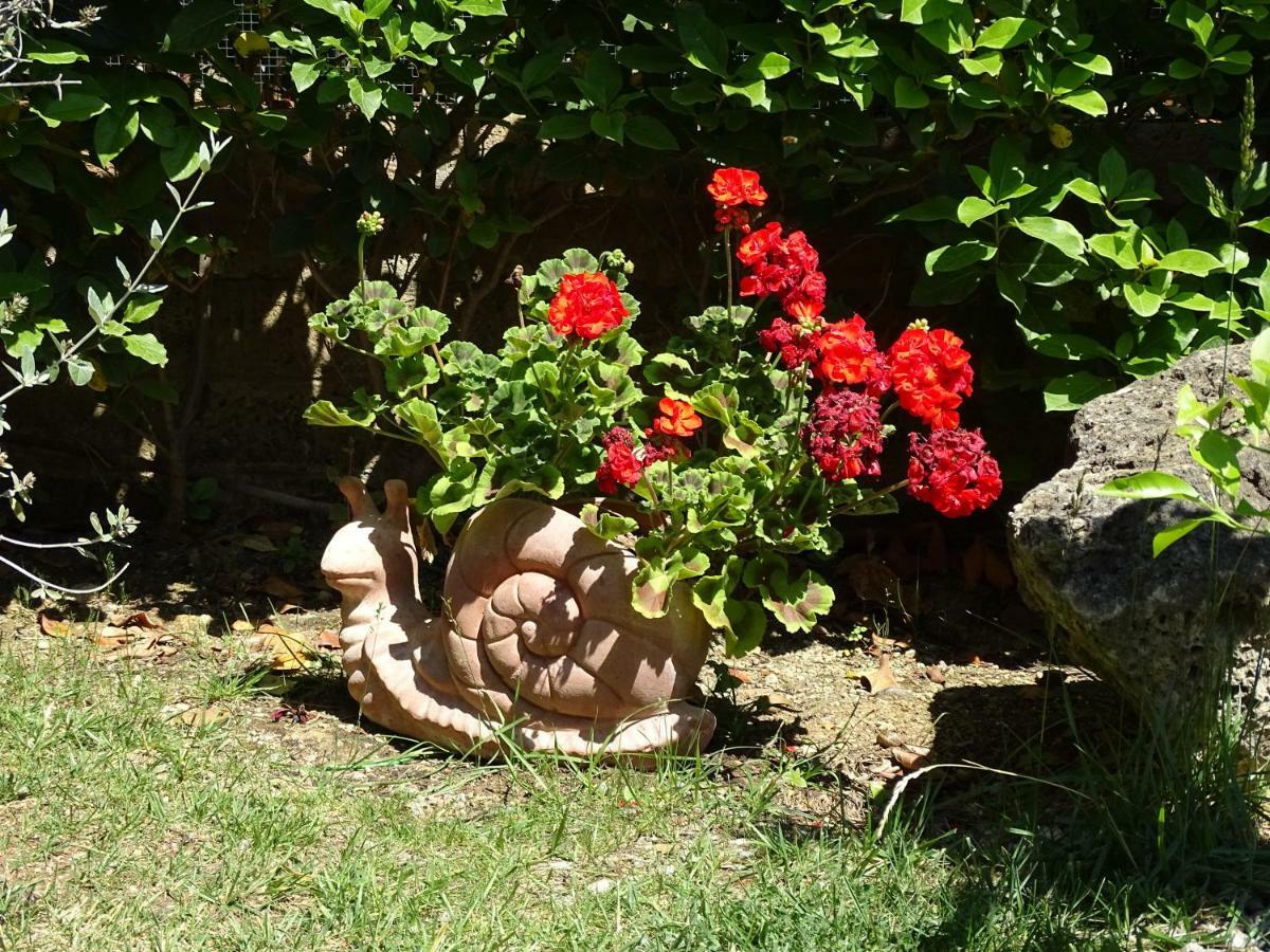 B&B La Dolce Vita Marsiliana Luaran gambar